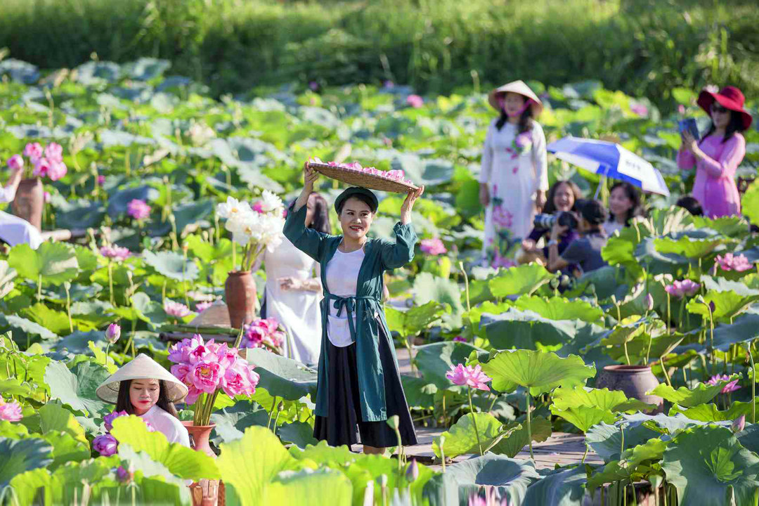Khai mạc Lễ hội Sen Hà Nội 2026: Tôn vinh bản sắc văn hóa, quảng bá hình ảnh Thủ đô
