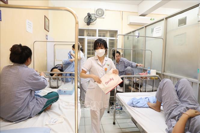 Hà Nội: 239 ổ dịch sốt xuất huyết vẫn đang hoạt động