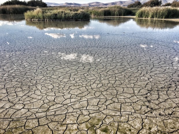 Tây Ban Nha đang phải trả giá cho việc sử dụng nguồn nước vô độ