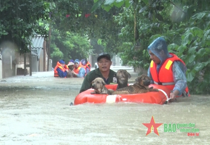 “Thuận thiên” là chìa khóa sinh tồn