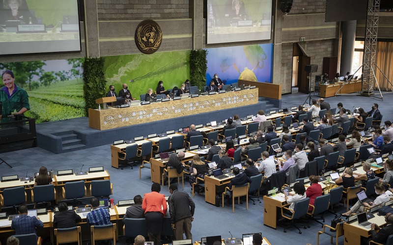 UNEA thông qua 14 nghị quyết nhằm bảo vệ và phục hồi thiên nhiên