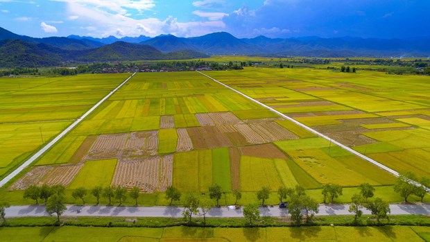 Luật Đất đai (sửa đổi) cần tránh lợi dụng chính sách để đầu cơ đất nông nghiệp