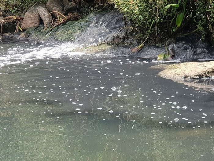 Đắk Nông: Xả thải sai quy định, bốn chủ trang trại chăn nuôi ở Đăk Song bị phạt gần một tỷ đồng