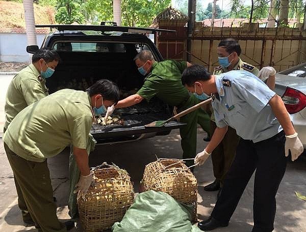 Đắk Nông: Ngăn chặn, phát hiện và xử lý nghiêm các trường hợp vận chuyển lợn qua biên giới