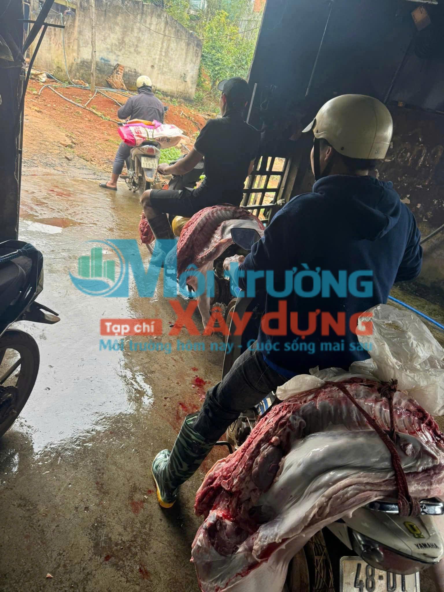 Lâm Đồng: UBND xã Quảng Sơn đôn đốc xử lý điểm tập kết heo