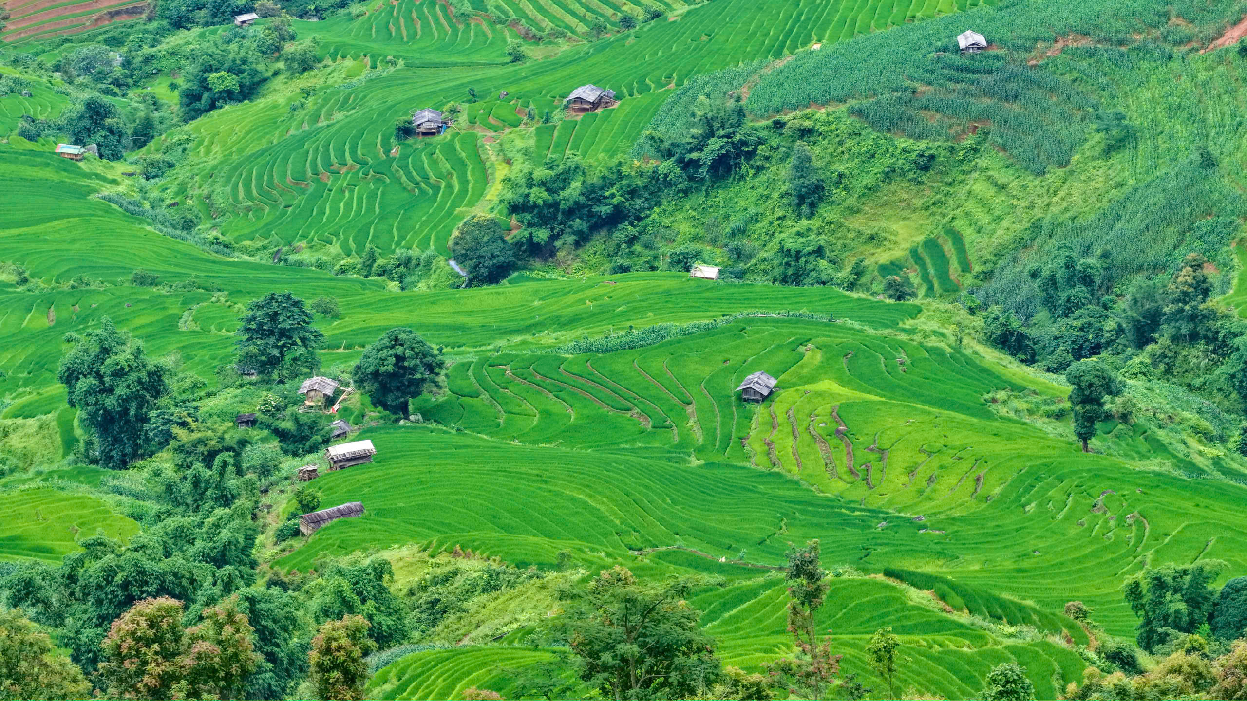 Tà Xùa ( Sơn La ) – Hành trình đánh thức "viên ngọc giữa mây" bằng du lịch xanh và phát triển bền vững