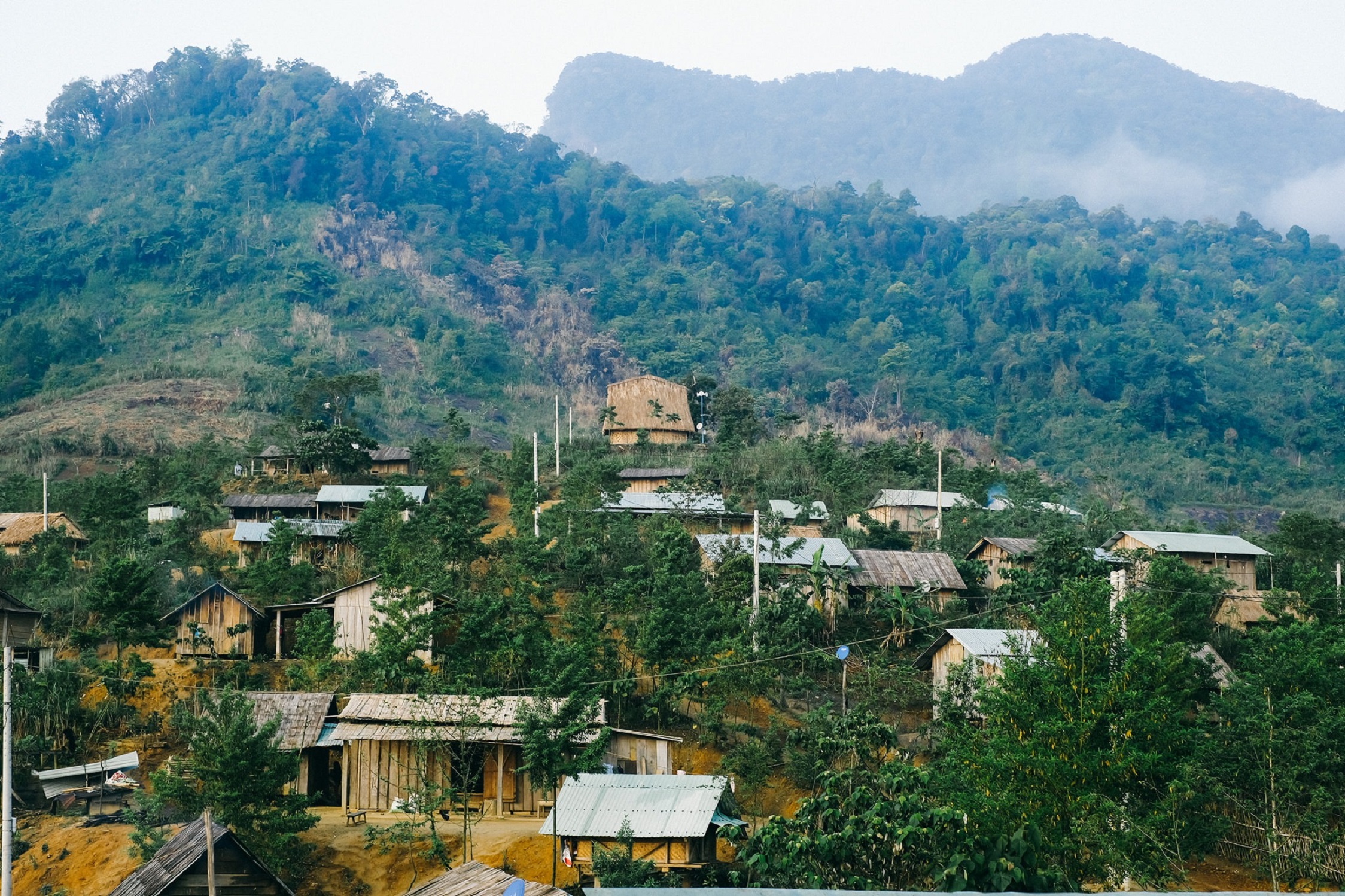 Sống trong vùng tâm chấn